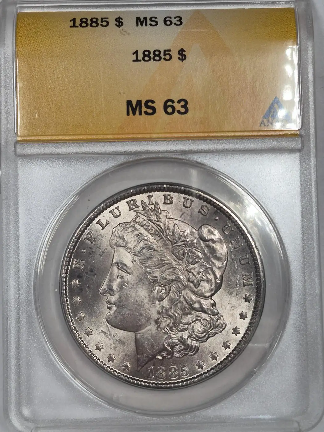 1885-$1-Morgan-Dollar-#18---TPG-21-Of-40